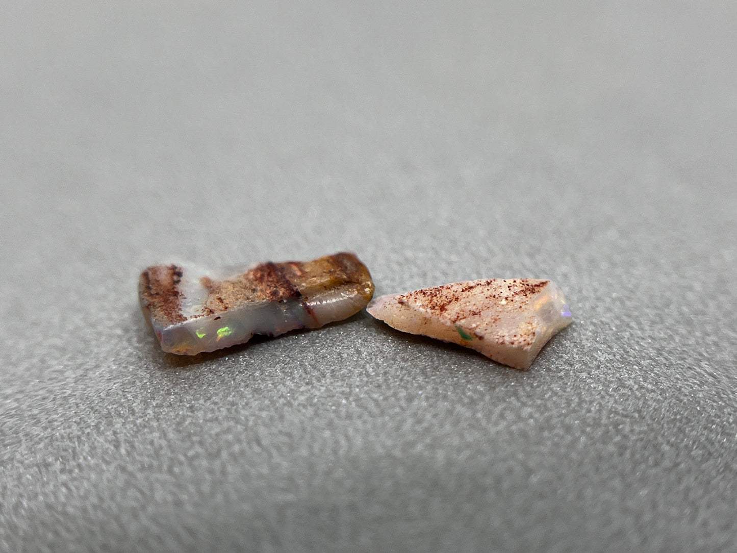 「Shell leaf」オパール化貝化石/ 1.00ct/フリーシェイプ/クーパーペディ、オーストラリア