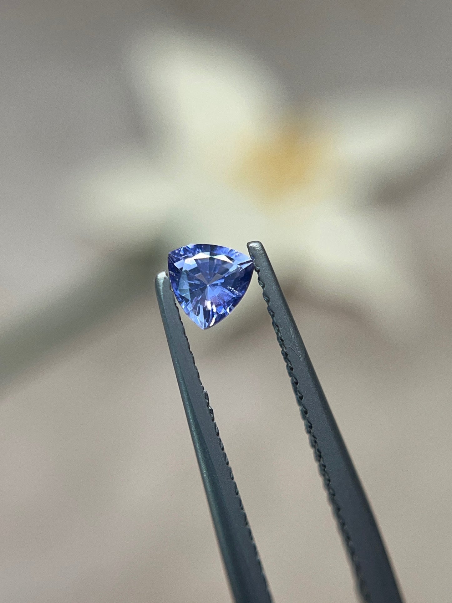 「水すみれ」クリア×ブルーサファイア/ 0.44ct/トリリアント/マダガスカル