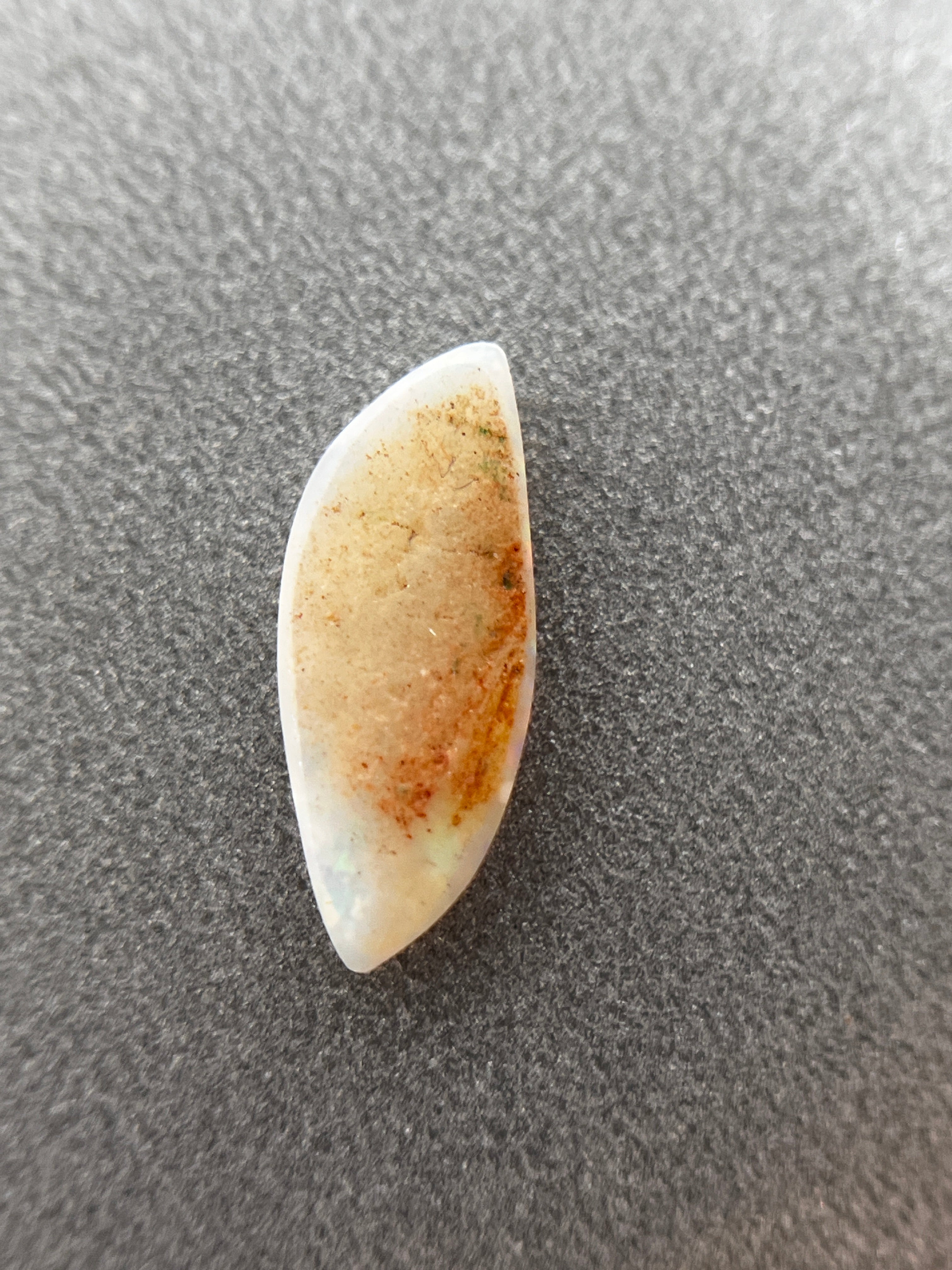 Shell leaf」オパール化貝化石/ 1.00ct/フリーシェイプ/クーパーペディ
