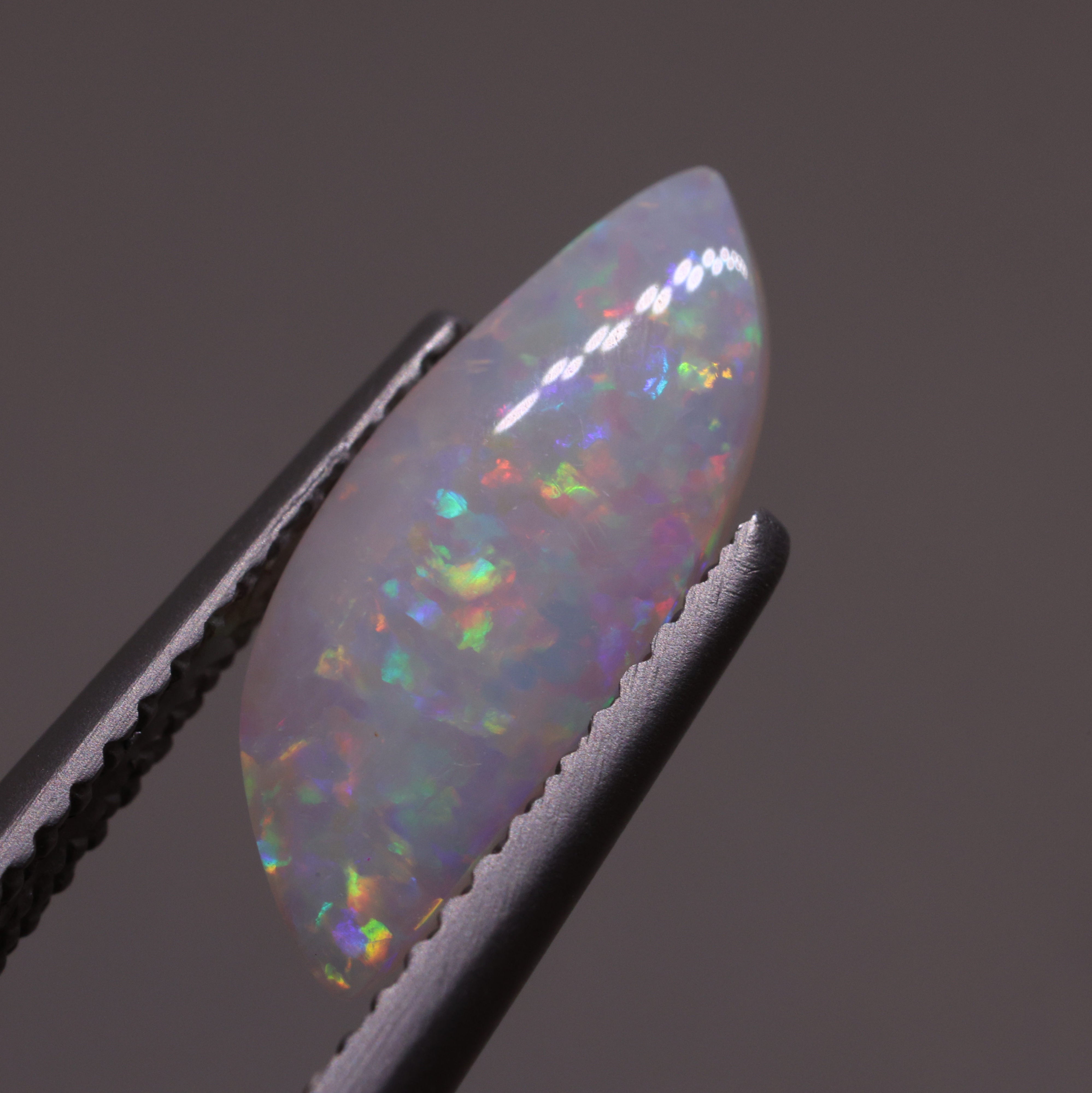 Shell leaf」オパール化貝化石/ 1.00ct/フリーシェイプ/クーパーペディ