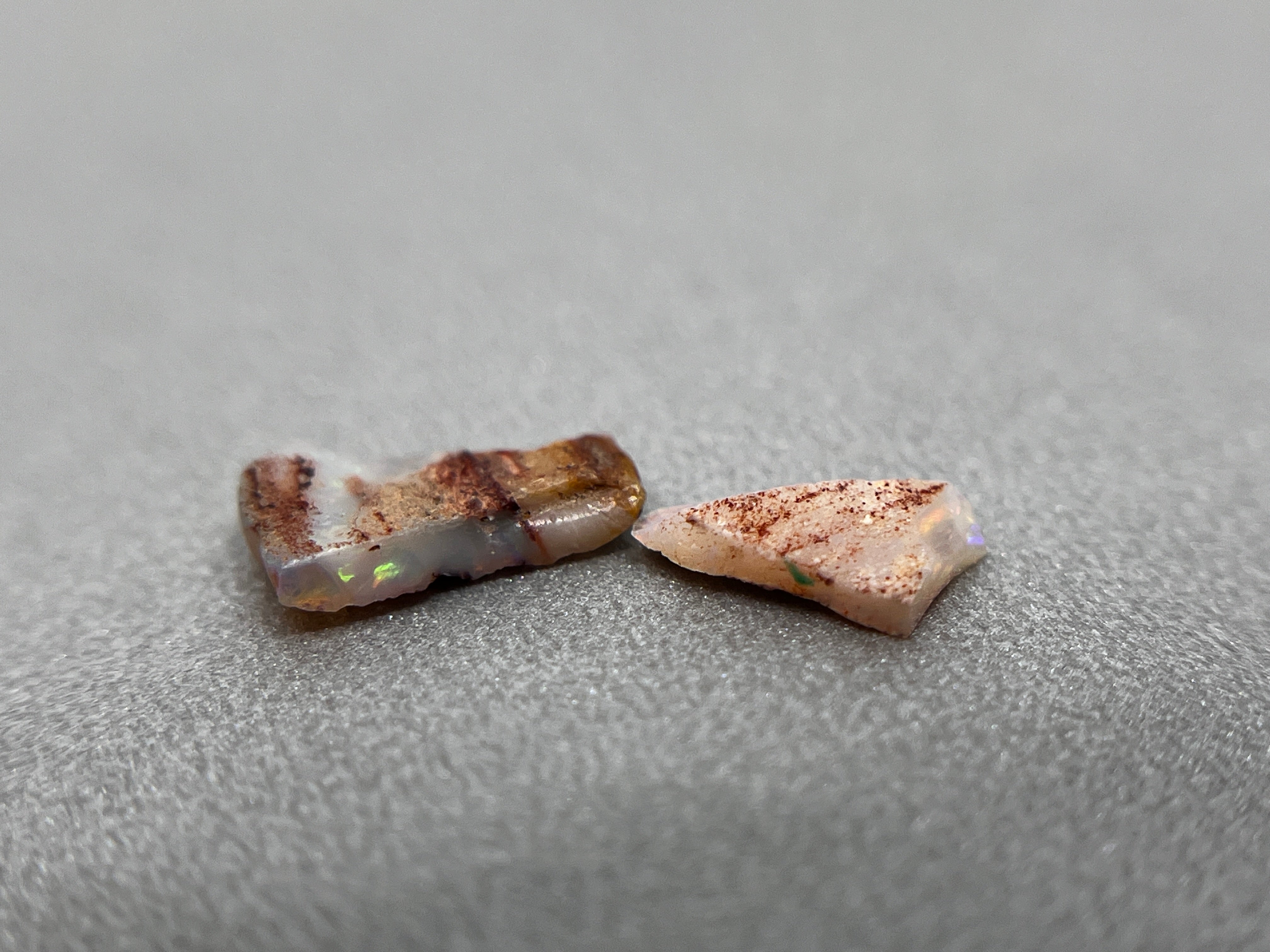 Shell leaf」オパール化貝化石/ 1.00ct/フリーシェイプ/クーパーペディ