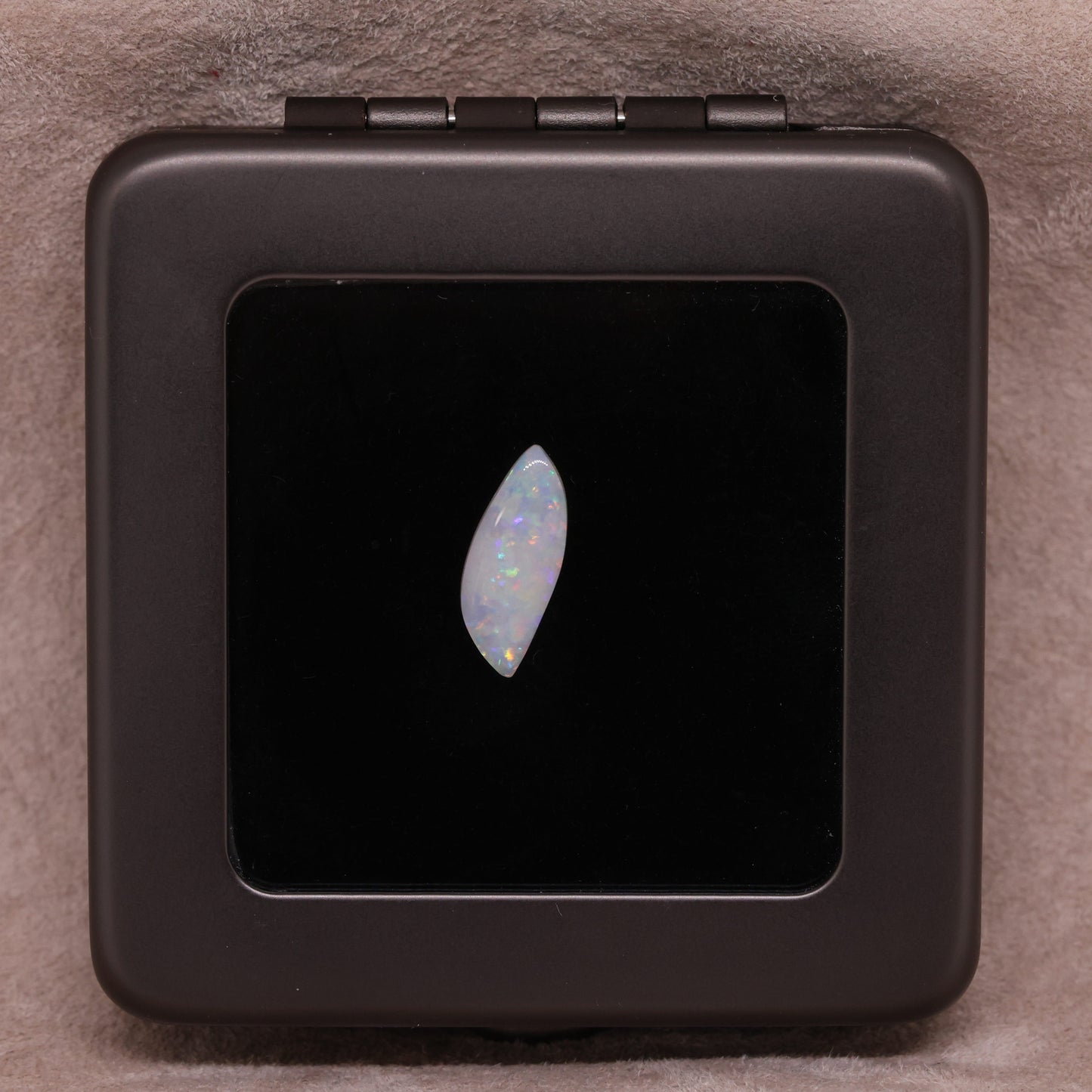 「Shell leaf」オパール化貝化石/ 1.00ct/フリーシェイプ/クーパーペディ、オーストラリア