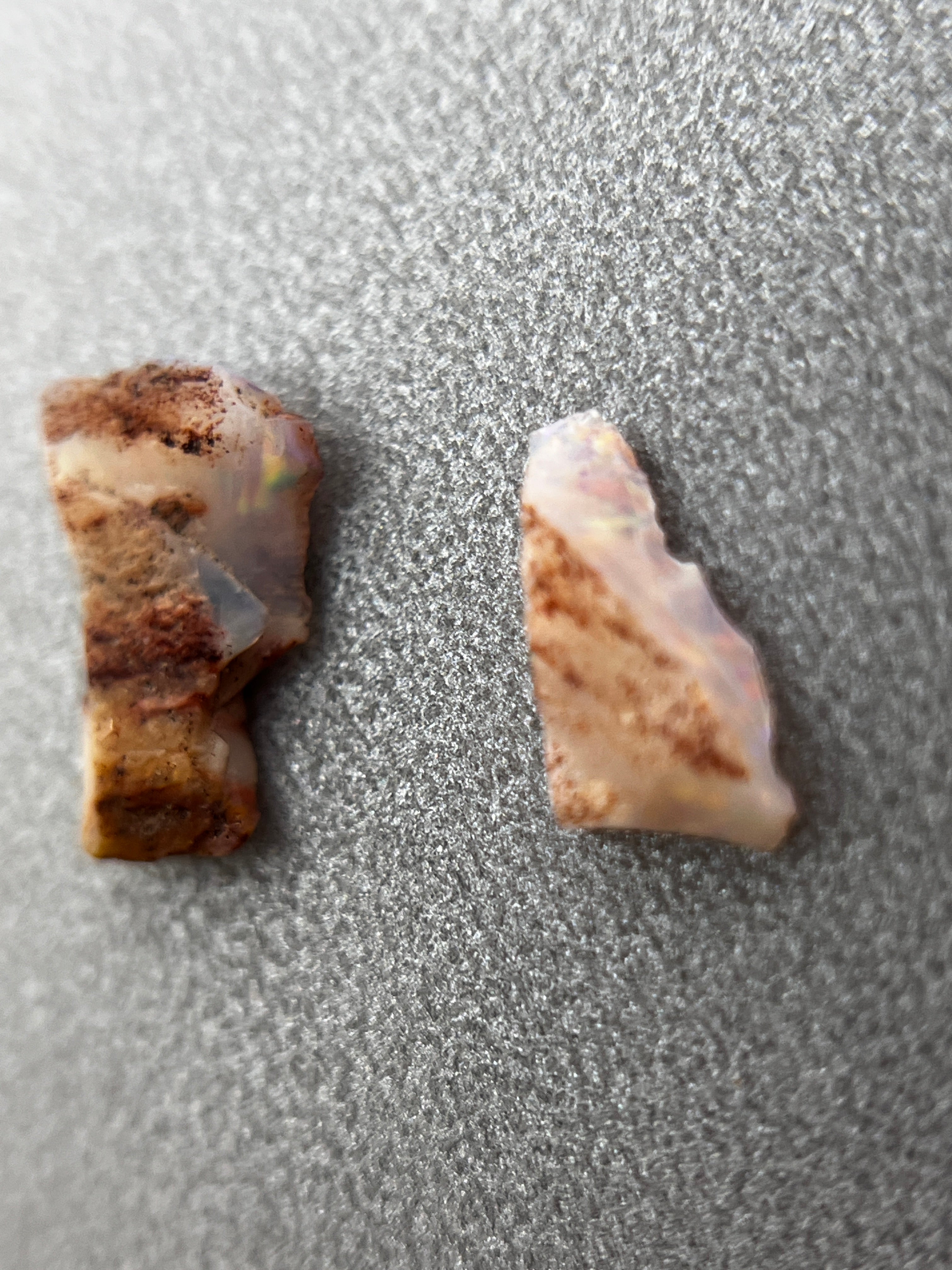 Shell leaf」オパール化貝化石/ 1.00ct/フリーシェイプ/クーパーペディ