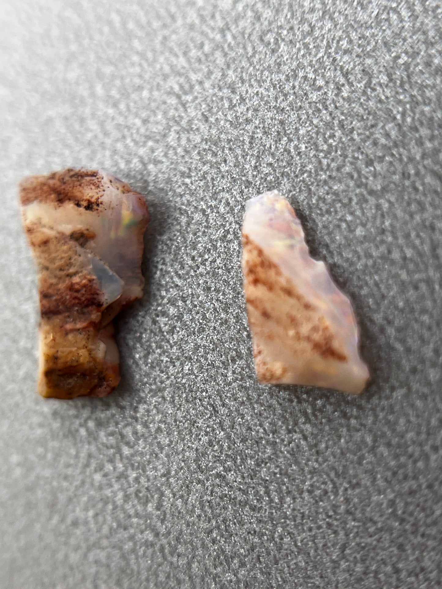 「Shell leaf」オパール化貝化石/ 1.00ct/フリーシェイプ/クーパーペディ、オーストラリア