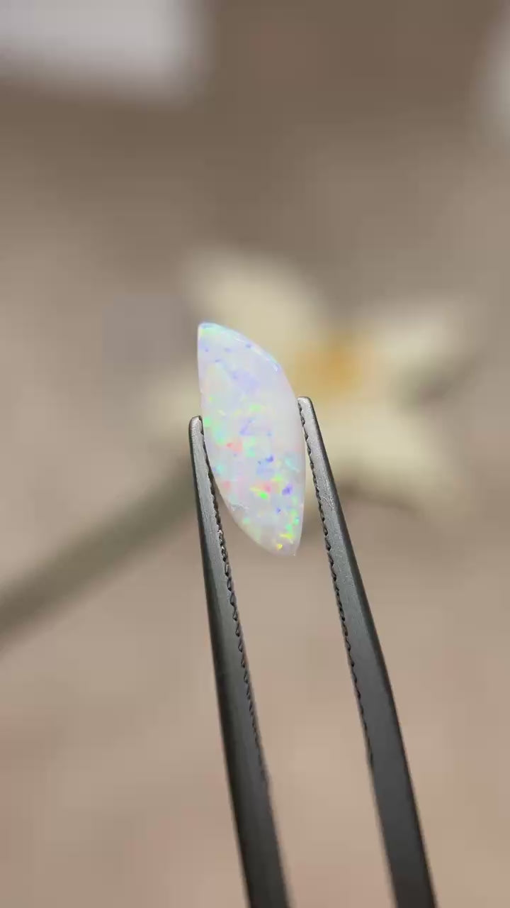 Shell leaf」オパール化貝化石/ 1.00ct/フリーシェイプ/クーパーペディ